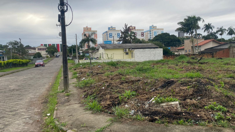 Imagem Terreno à Venda, 750 m² em Santa Augusta - Criciúma Imagem Terreno à Venda, 750 m² em Santa Augusta - Criciúma