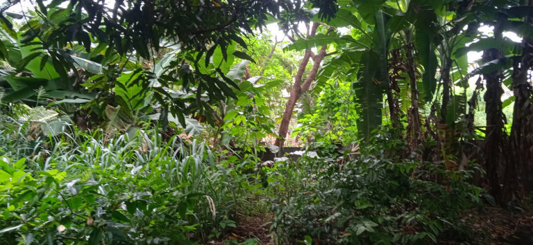 Imagem Terreno à Venda, 637 m²em Setor Sudoeste - Goiânia