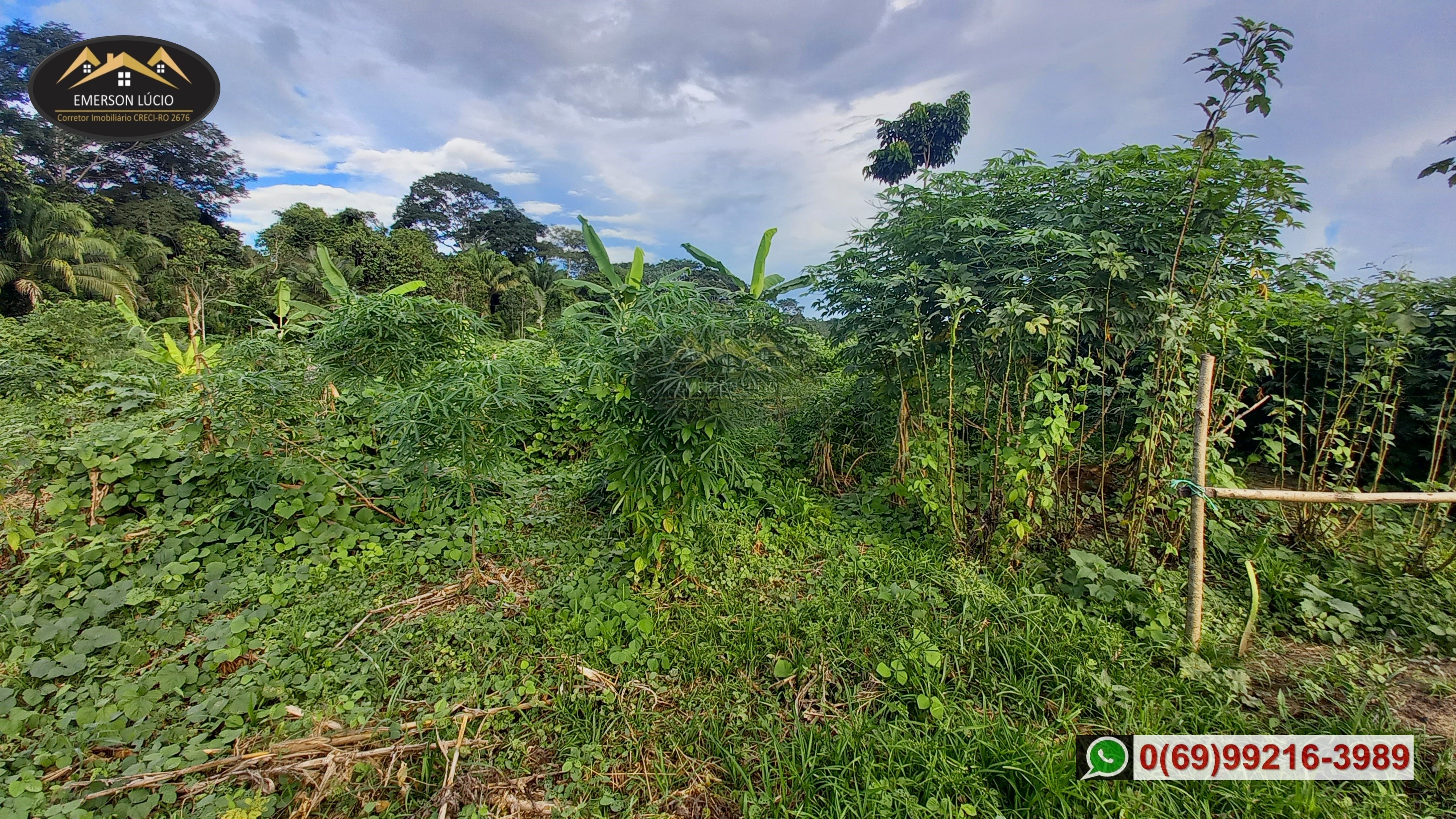 Imagem Fazenda à Venda, 50 HAem Rio Madeira - Porto Velho Imagem Fazenda à Venda, 50 HAem Rio Madeira - Porto Velho
