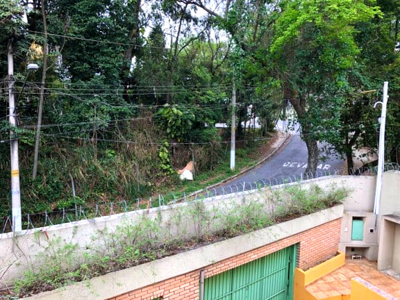 Imagem Sobrado com 3 Quartos à Venda, 345 m² em Jardim Peri Peri - São Paulo Imagem Sobrado com 3 Quartos à Venda, 345 m² em Jardim Peri Peri - São Paulo