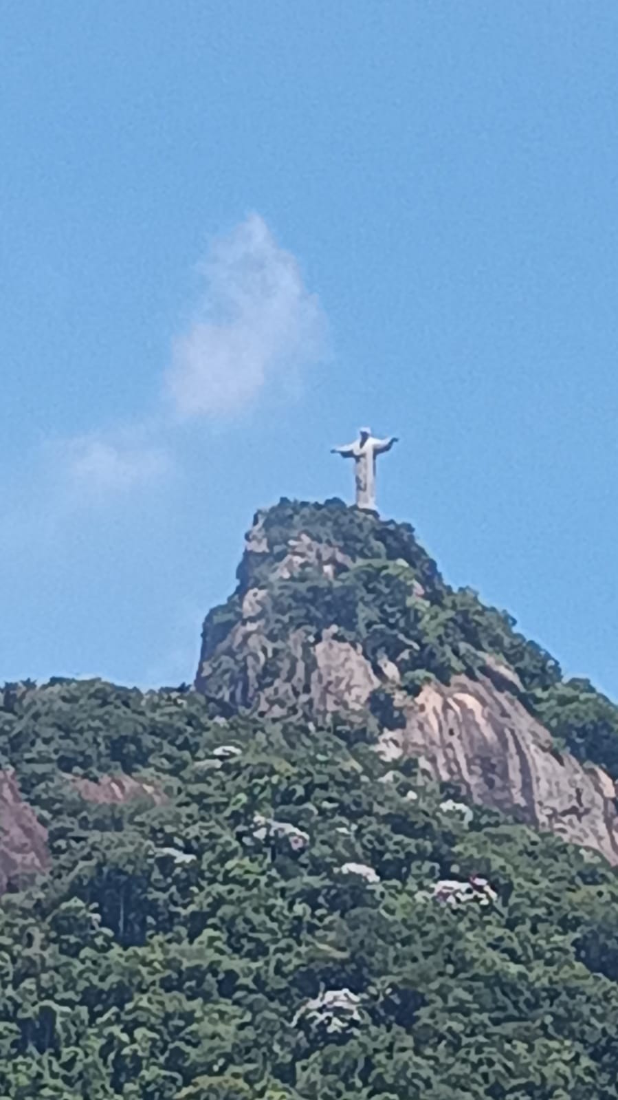 Imagem Apartamento com 3 Quartos à Venda, 120 m²em Laranjeiras - Rio de Janeiro