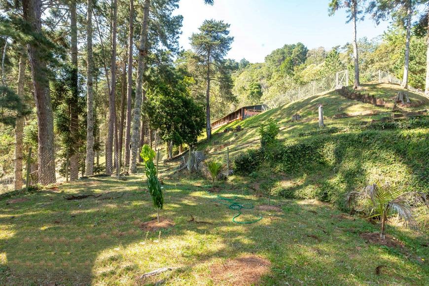 Imagem Chácara com 10 Quartos à Venda, 10 m²em Mury - Nova Friburgo Imagem Chácara com 10 Quartos à Venda, 10 m²em Mury - Nova Friburgo