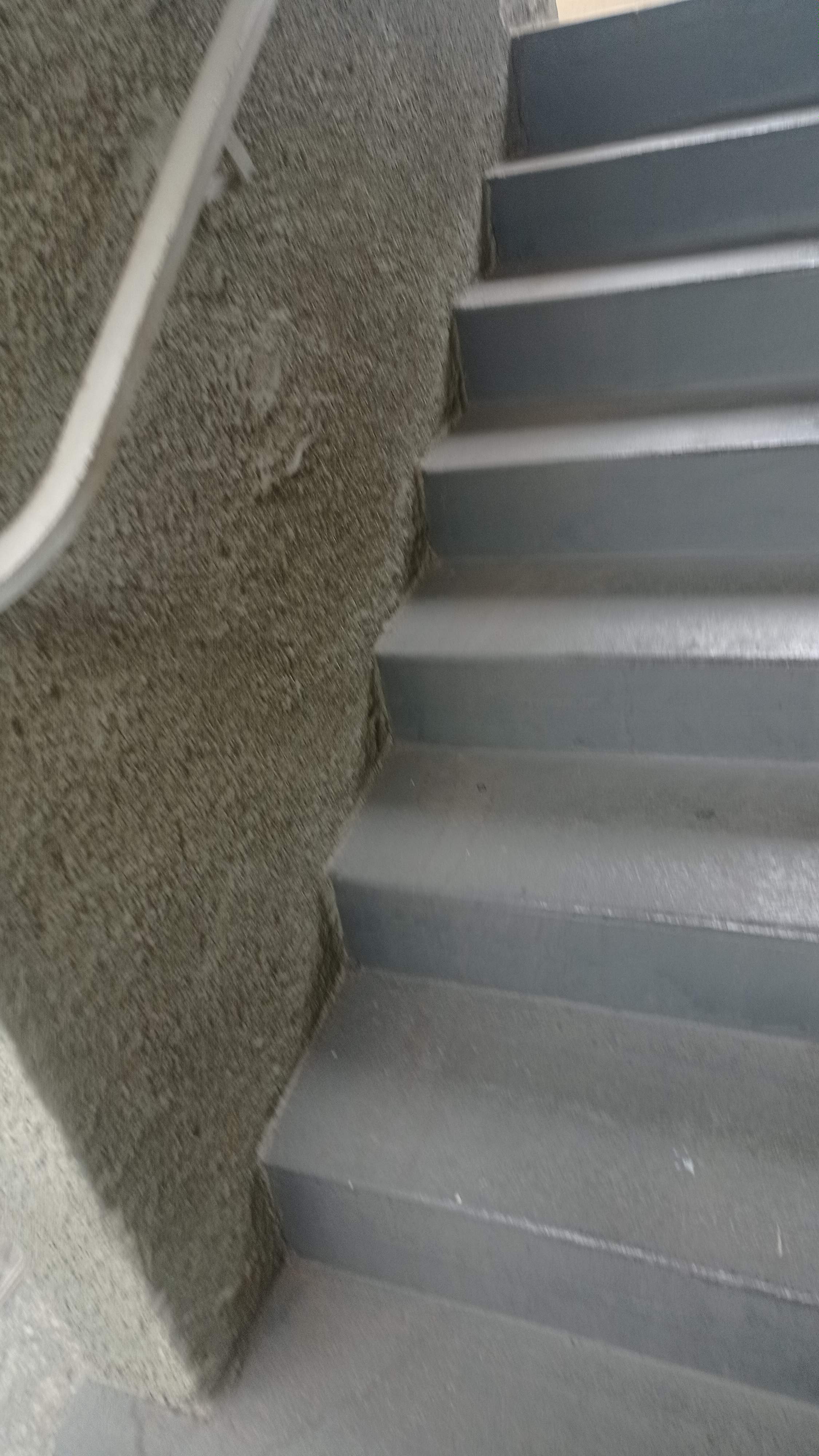 Imagem Apartamento com 2 Quartos à Venda, 50 m²em Vila Padre Manoel de Nóbrega - Campinas