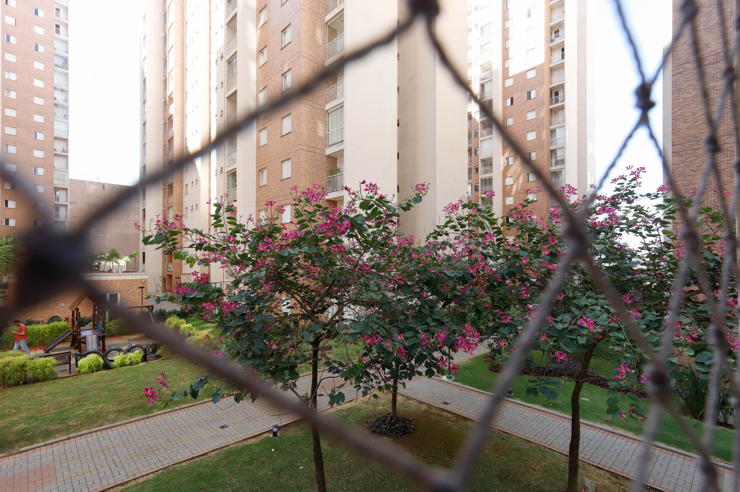 Imagem Apartamento com 3 Quartos à Venda, 77 m²em Jardim Flor da Montanha - Guarulhos