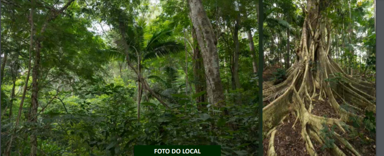 Imagem Terreno à Venda, 500 m² em Bairro das Palmeiras - Campinas