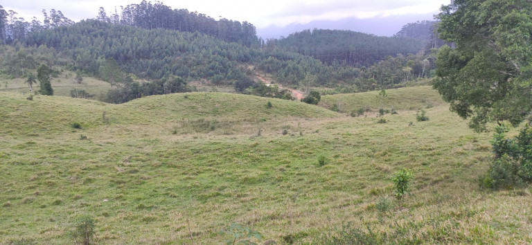 Imagem Fazenda à Venda, 34 HAem Brusque do Sul - Orleans