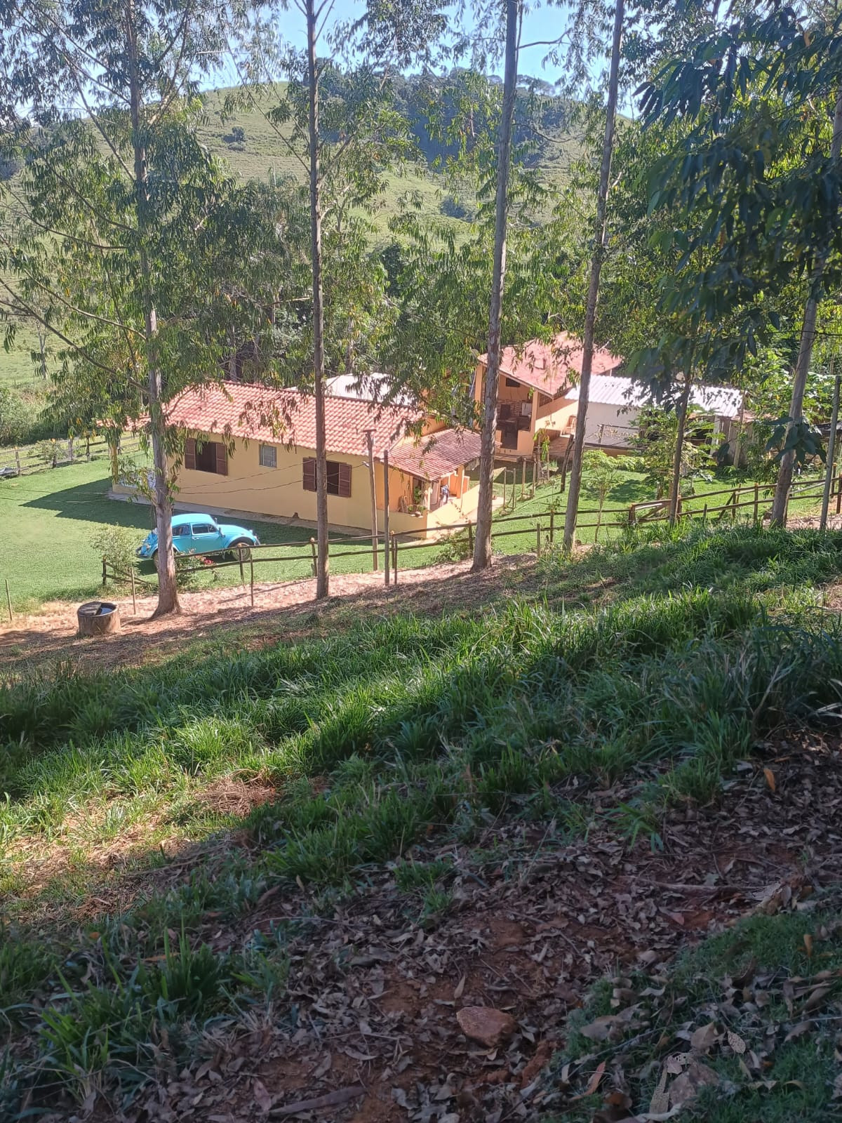 Imagem Chácara com 2 Quartos à Venda, 72.000 m² em - Rio Pomba Imagem Chácara com 2 Quartos à Venda, 72.000 m² em - Rio Pomba
