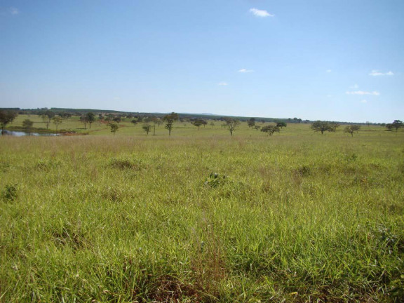 Imagem Fazenda à Venda,  em zona rural - Engenheiro Navarro