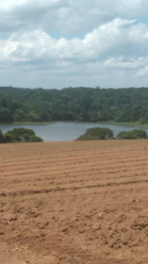 Imagem Fazenda à Venda, 6 Alq. SP em Valadão - Piedade