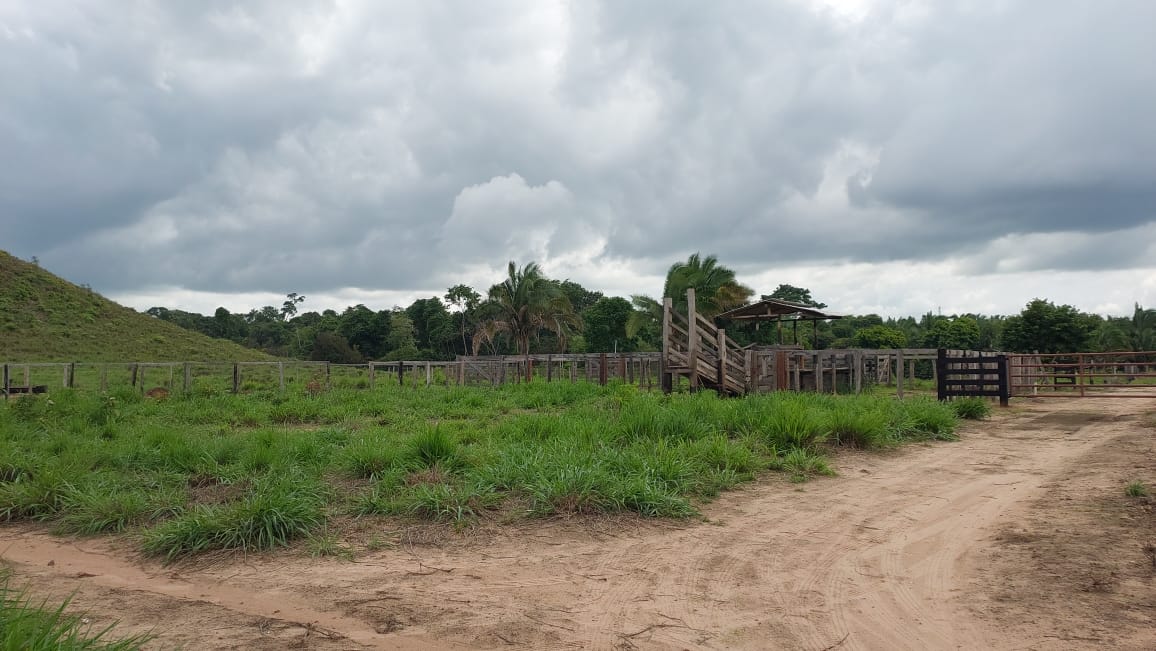 Imagem Fazenda à Venda, 9 Alq MGem Nova Marabá - Marabá