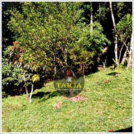 Imagem Chácara com 2 Quartos à Venda, 200 m² em Mata Fria - Mairiporã Imagem Chácara com 2 Quartos à Venda, 200 m² em Mata Fria - Mairiporã