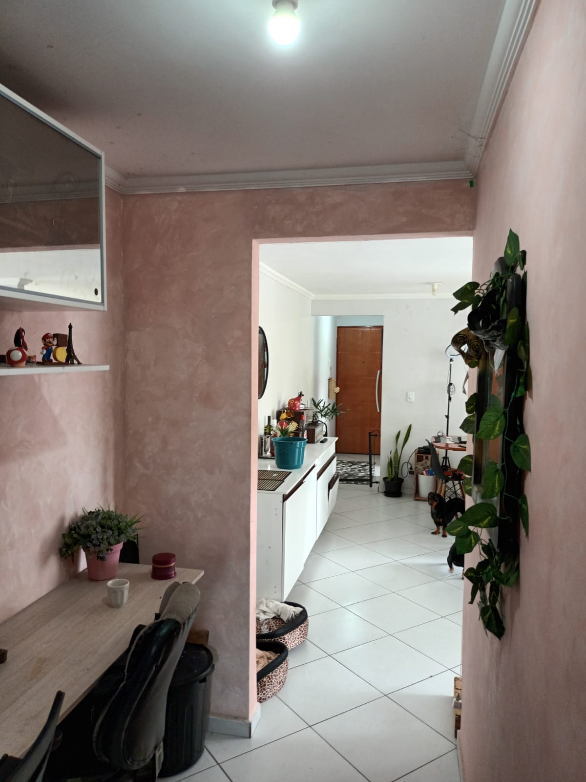 Imagem Apartamento com 3 Quartos à Venda, 67 m²em Barro Branco (Zona Norte) - São Paulo
