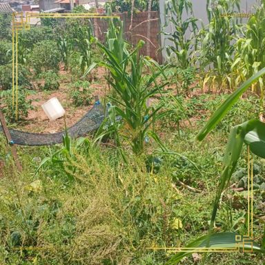Imagem Terreno à Venda, 250 m² em Jardim Monte Mor - Botucatu