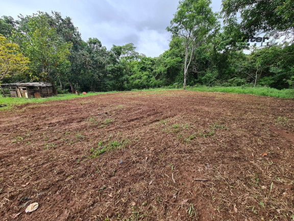 Imagem Fazenda à Venda, 24 HA em brazlandia - Brasília