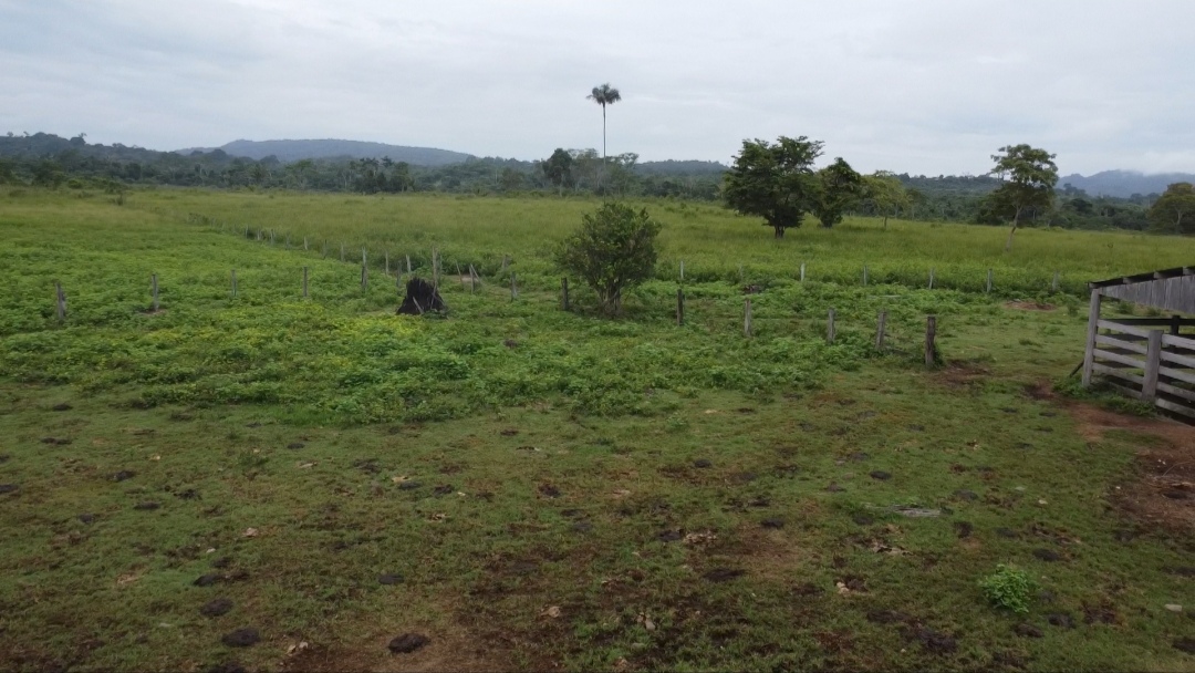 Imagem Fazenda à Venda, 90 m²em Centro - São Félix do Xingu Imagem Fazenda à Venda, 90 m²em Centro - São Félix do Xingu