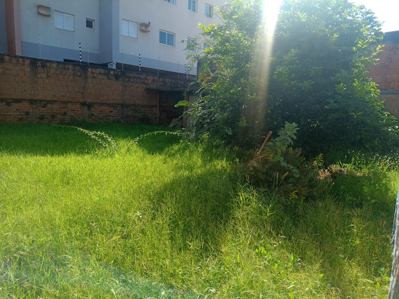 Imagem Casa com 2 Quartos à Venda, 138 m²em Jardim Santa Rosa I - São José do Rio Preto