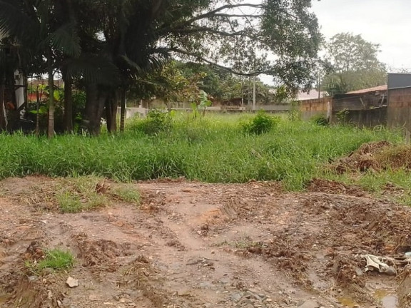 Imagem Terreno à Venda, 300 m² em itajuba - Barra Velha Imagem Terreno à Venda, 300 m² em itajuba - Barra Velha