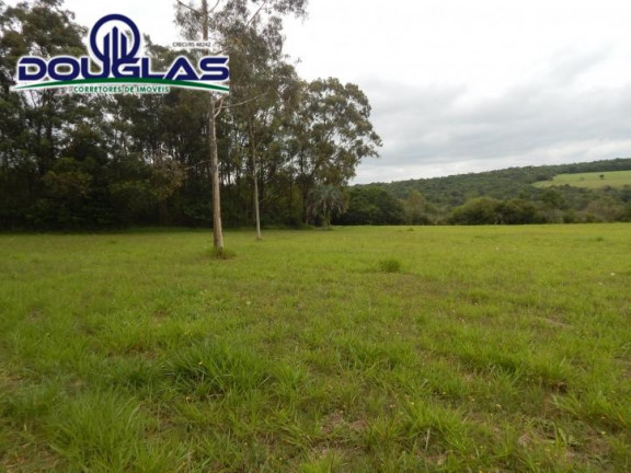 Imagem Chácara com 3 Quartos à Venda, 80 m² em Águas Claras - Viamão