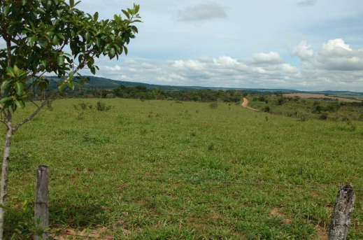 Fazenda à Venda, 8 Alq GOem Zona Rural - Silvânia