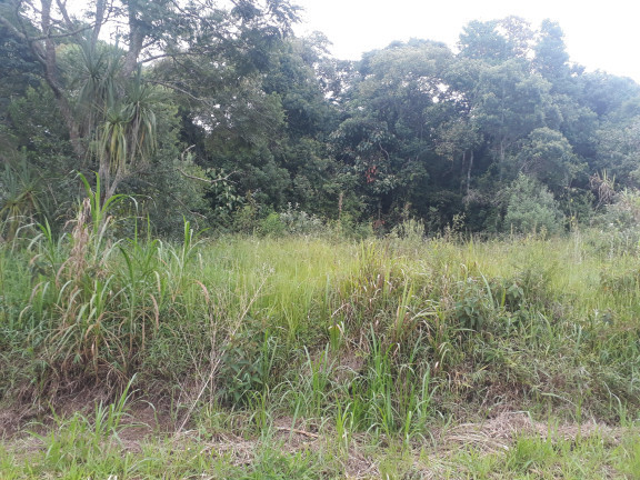 Imagem Terreno à Venda, 2.552 m² em Taipas De Pedras (Mailasqui) - São Roque Imagem Terreno à Venda, 2.552 m² em Taipas De Pedras (Mailasqui) - São Roque