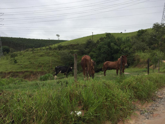 Imagem Terreno à Venda, 43.500 m² em Vila Andrade - Mogi das Cruzes Imagem Terreno à Venda, 43.500 m² em Vila Andrade - Mogi das Cruzes