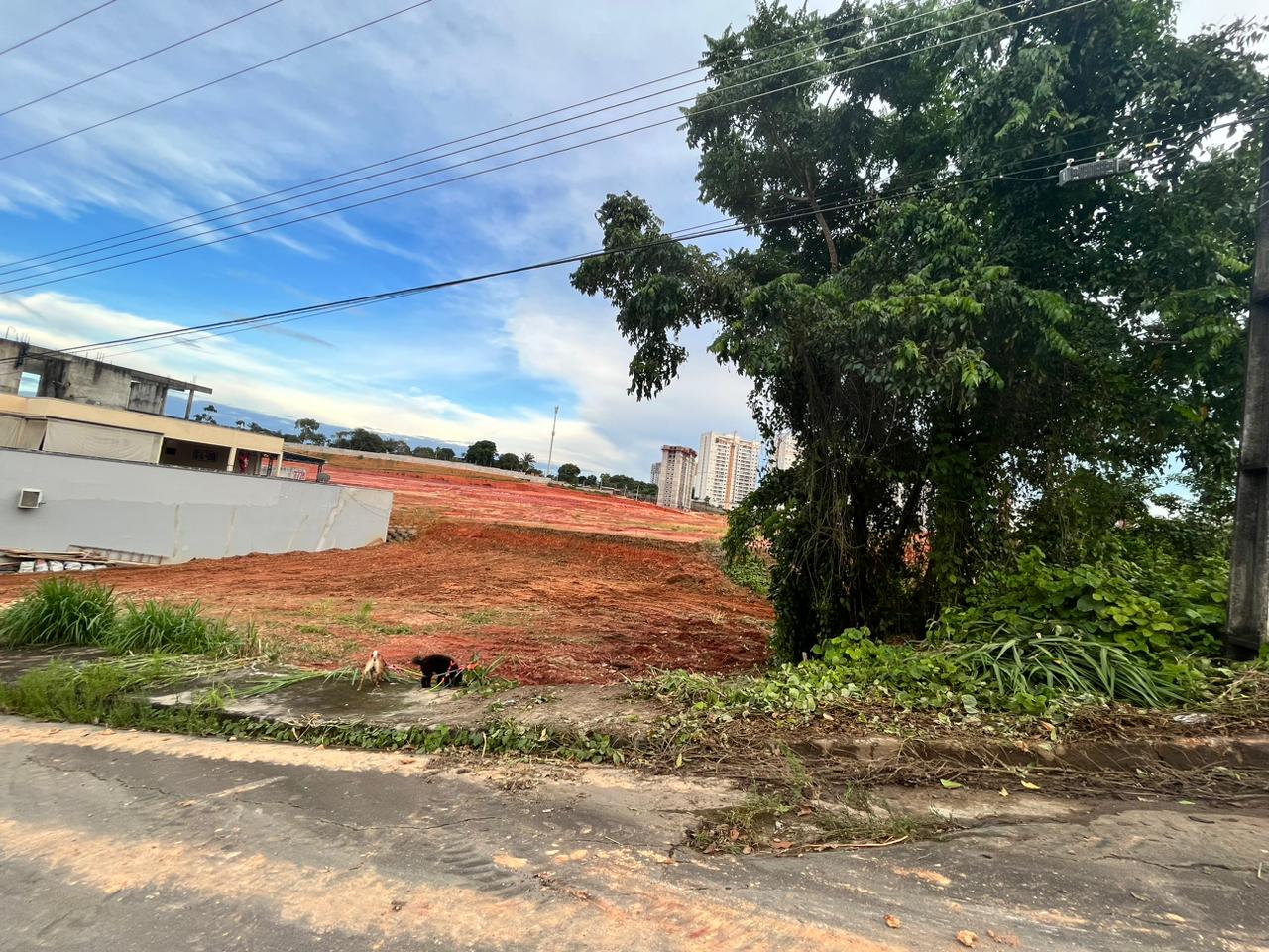 Imagem Terreno à Venda, 312 m²em Ponta Negra - Manaus Imagem Terreno à Venda, 312 m²em Ponta Negra - Manaus