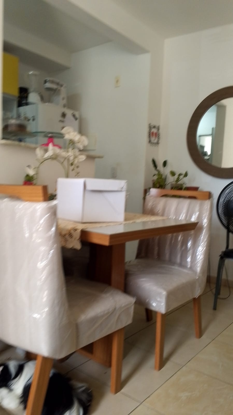 Imagem Apartamento com 2 Quartos à Venda, 47 m² em Nova Parnamirim - Parnamirim Imagem Apartamento com 2 Quartos à Venda, 47 m² em Nova Parnamirim - Parnamirim