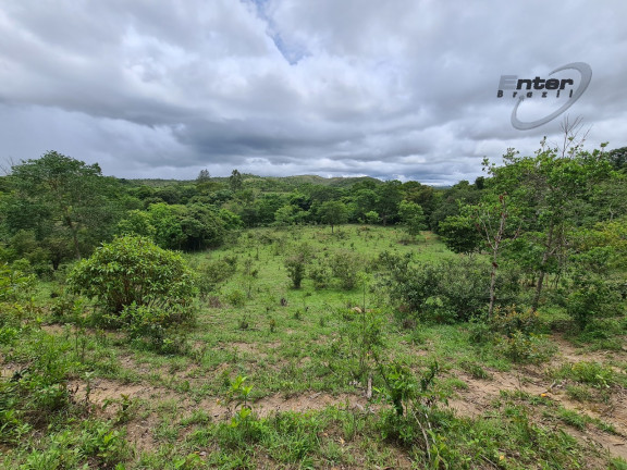 Imagem Fazenda à Venda, 24 HA em brazlandia - Brasília