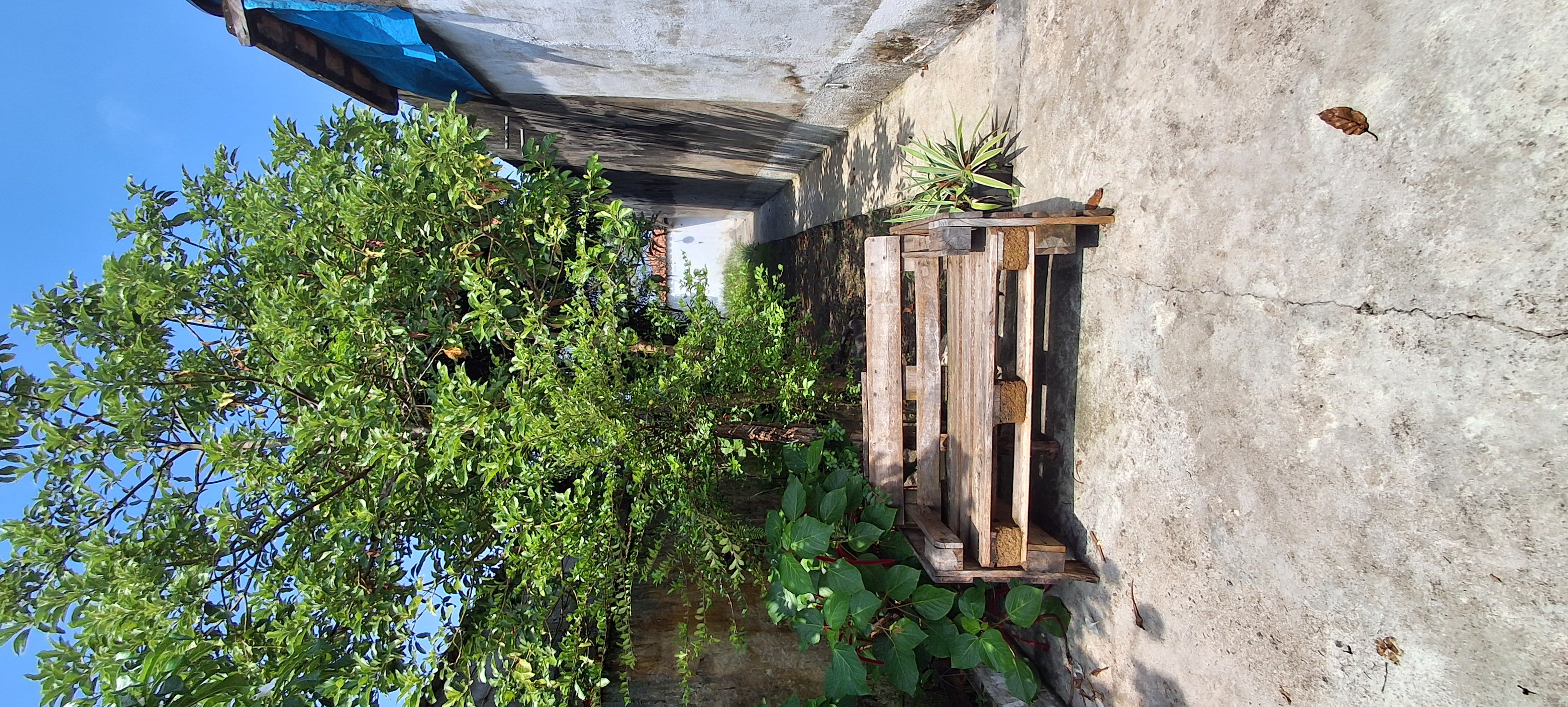 Imagem Terreno à Venda, 280 m²em Anhanguera - Praia Grande