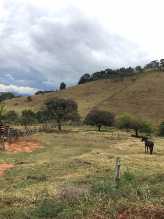 Imagem Fazenda à Venda, 149.000 m² em Zona Rural - Soledade de Minas