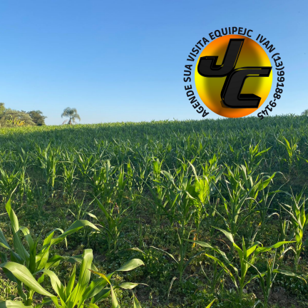 Imagem Terreno à Venda, 500 m² em Verava - Ibiúna