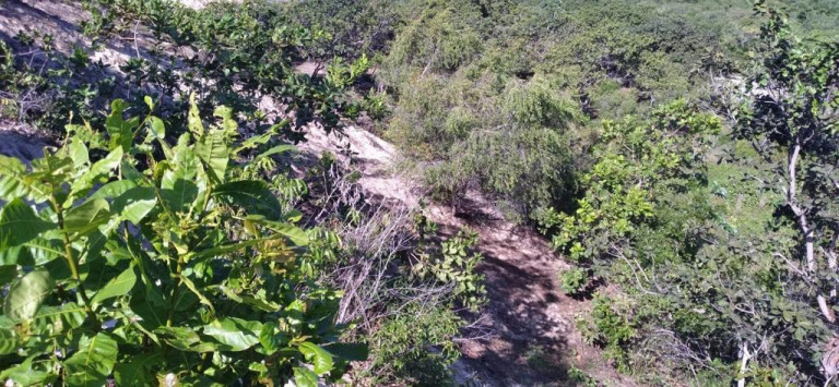 Imagem Terreno à Venda, 5.658 m²em Pajuçara - Natal
