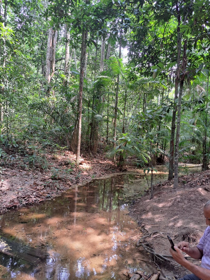 Imagem Terreno à Venda, 250 m²em Vigia - Santarém Imagem Terreno à Venda, 250 m²em Vigia - Santarém