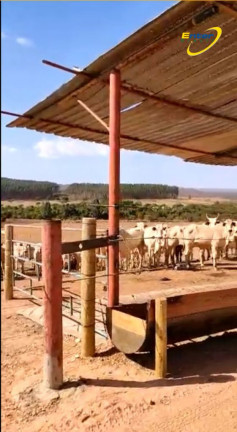 Imagem Fazenda à Venda, 297 HAem Paranoá - Brasília