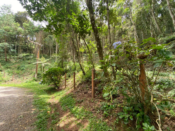 Imagem Terreno em Condomínio à Venda, 4.760 m² em Alpes Campos Jordão - Campos do Jordão