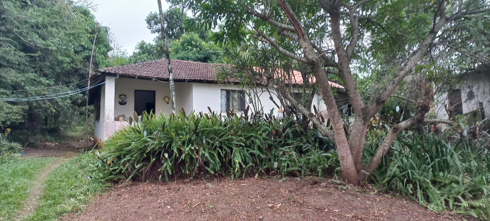 Terreno à Venda, 17.850 m² em Realengo - Rio de Janeiro