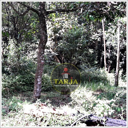 Imagem Chácara com 2 Quartos à Venda, 100 m² em Mata Fria - Mairiporã Imagem Chácara com 2 Quartos à Venda, 100 m² em Mata Fria - Mairiporã