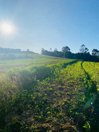 Imagem Terreno em Condomínio à Venda, 1.000 m² em Verava - Ibiúna Imagem Terreno em Condomínio à Venda, 1.000 m² em Verava - Ibiúna