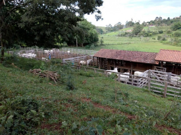 Imagem Terreno à Venda, 106.480 m² em Vila Cristo Redentor - Várzea Paulista