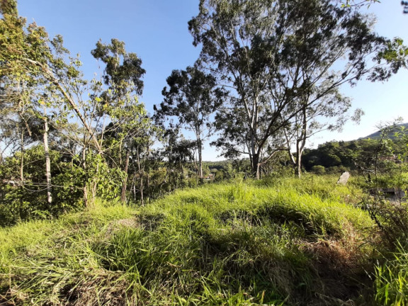 Imagem Terreno à Venda, 4.410 m² em Caete (Mailasqui) - São Roque Imagem Terreno à Venda, 4.410 m² em Caete (Mailasqui) - São Roque