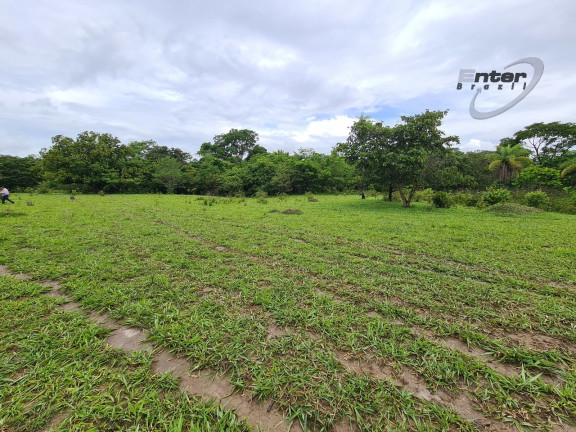 Imagem Fazenda à Venda, 24 HA em brazlandia - Brasília