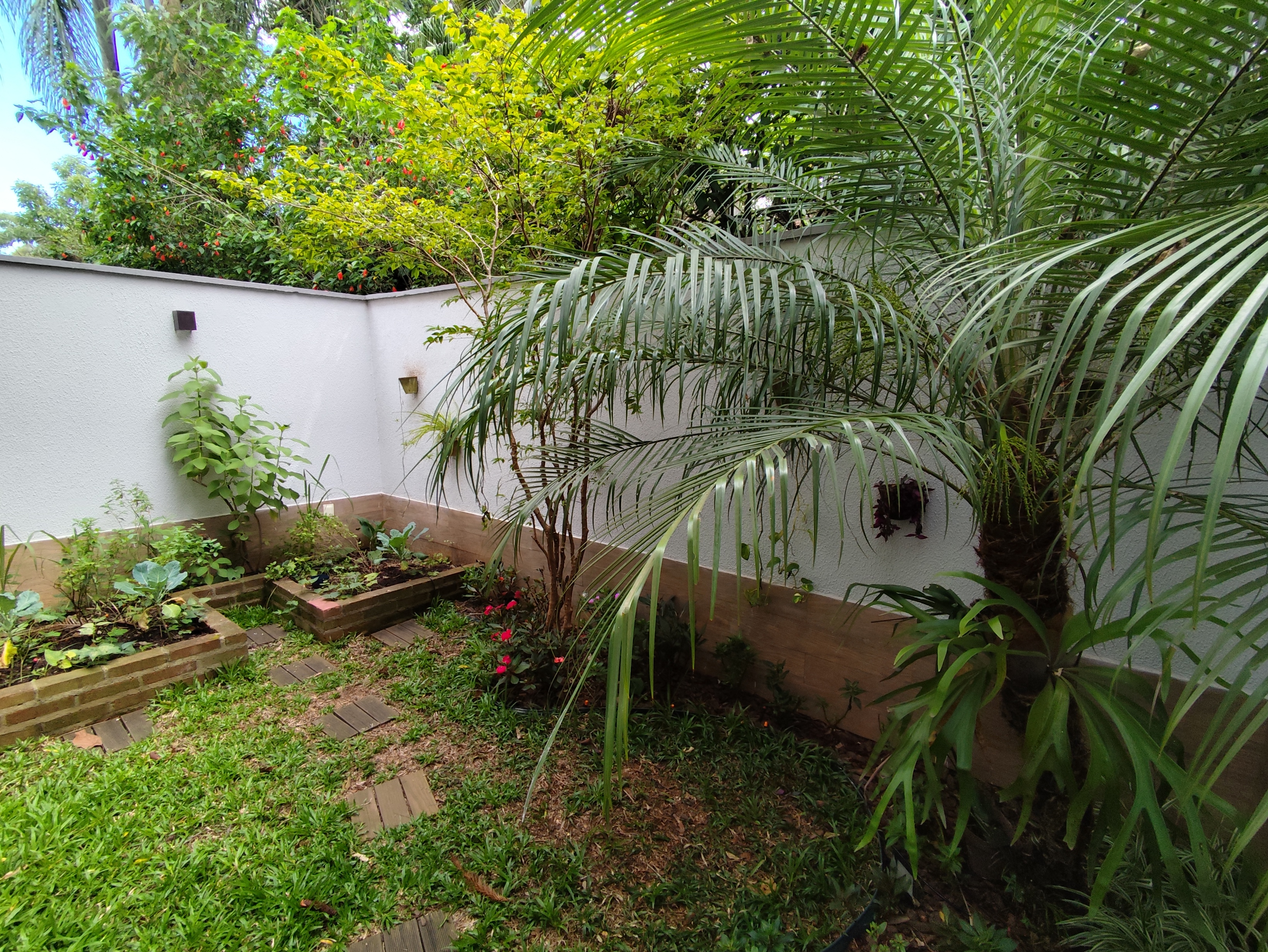 Imagem Casa de Condomínio com 3 Quartos à Venda, 119 m² em Chácara Pavoeiro - Cotia Imagem Casa de Condomínio com 3 Quartos à Venda, 119 m² em Chácara Pavoeiro - Cotia