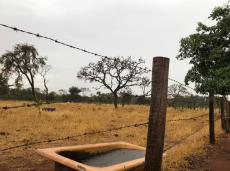 Imagem Chácara com 3 Quartos à Venda, 37 m²em Saraiva - Uberlândia