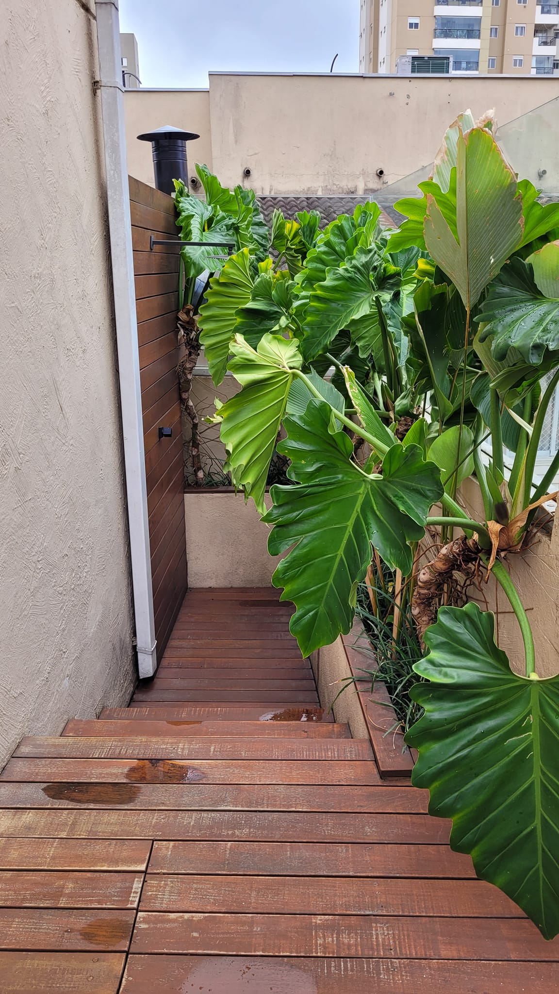 Imagem Casa de Condomínio com 4 Quartos à Venda, 260 m² em Vila Andrade - São Paulo