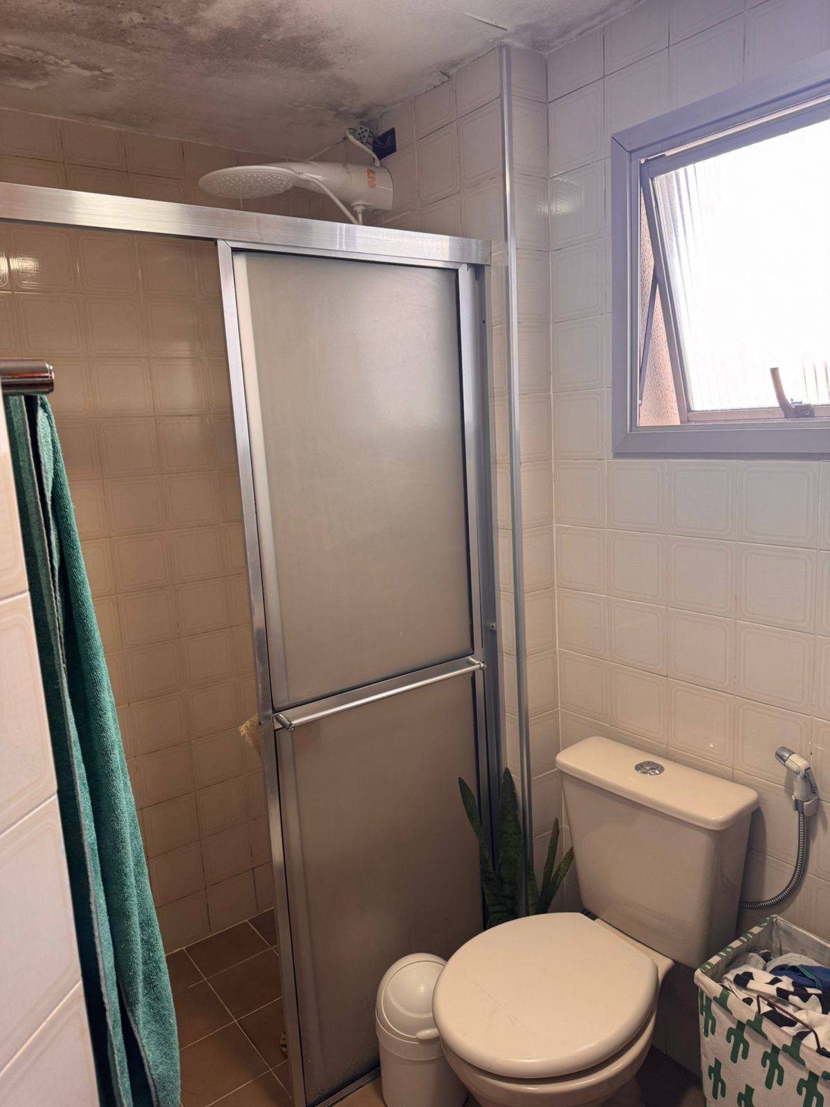 Imagem Apartamento com 2 Quartos à Venda ou Locação, 62 m² em Vila Mascote - São Paulo