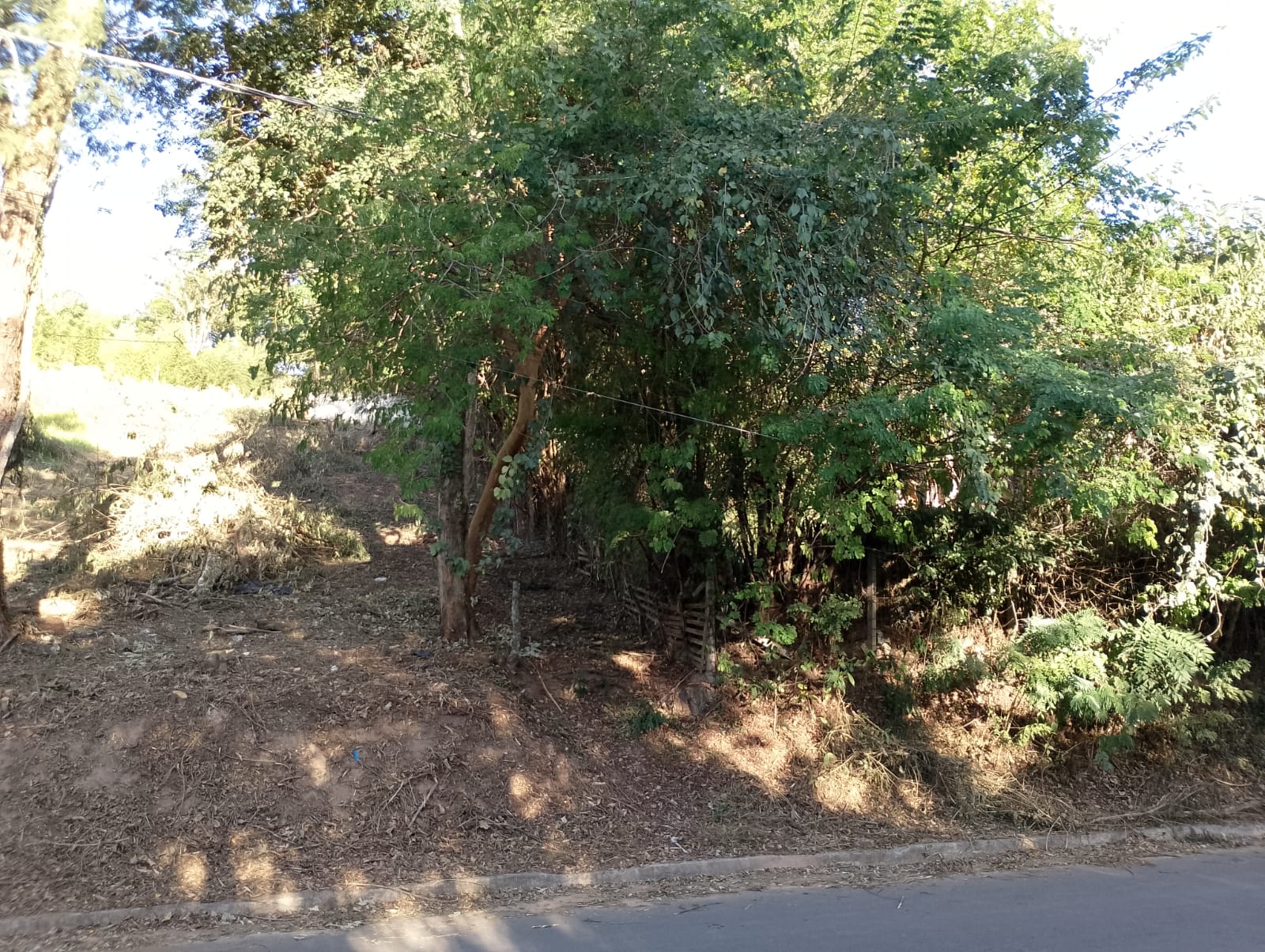 Imagem Terreno à Venda, 1 m²em Chácaras Pousada do Vale - São José dos Campos