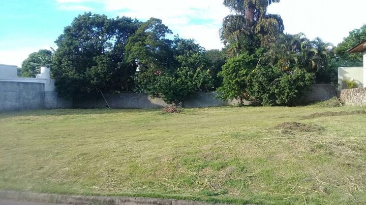 Imagem Terreno à Venda, 900 m² em Rio Tavares - Florianópolis Imagem Terreno à Venda, 900 m² em Rio Tavares - Florianópolis
