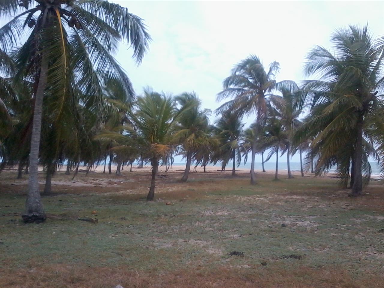 Imagem Terreno à Venda, 168.640 metro em Praia de Pititinga - Rio do Fogo