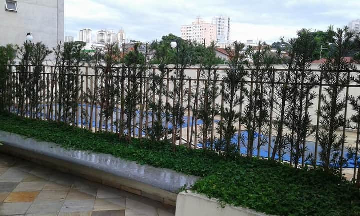 Imagem Apartamento com 2 Quartos à Venda, 60 m² em Sacomã - São Paulo Imagem Apartamento com 2 Quartos à Venda, 60 m² em Sacomã - São Paulo
