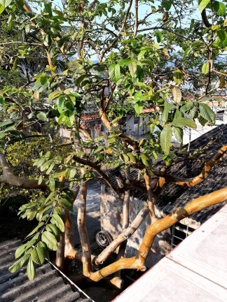 Imagem Casa com 5 Quartos à Venda, 420 m² em Jaraguá - Caraguatatuba Imagem Casa com 5 Quartos à Venda, 420 m² em Jaraguá - Caraguatatuba